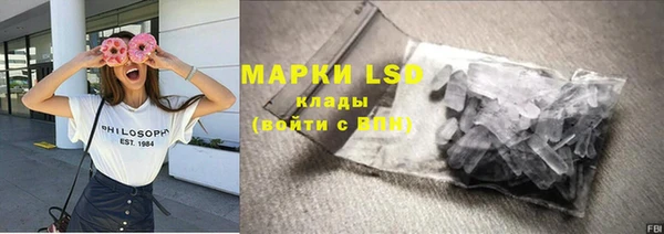 стафф Арсеньев