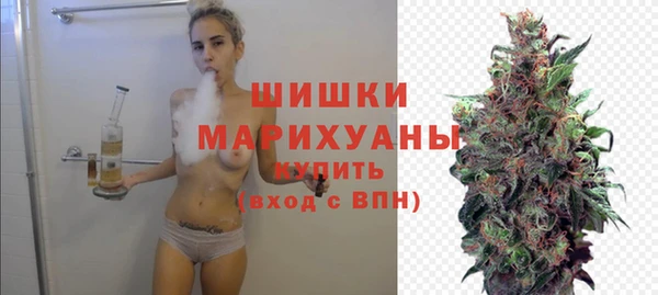 Альфа ПВП Аркадак