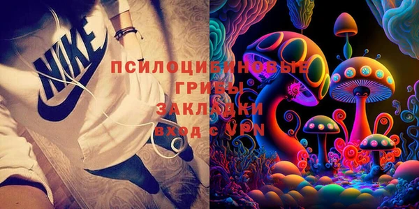 Альфа ПВП Аркадак