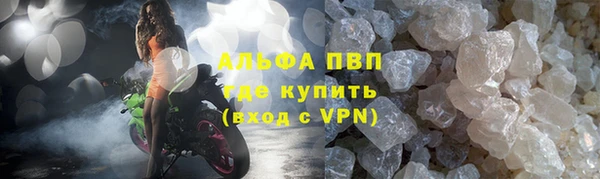стафф Арсеньев
