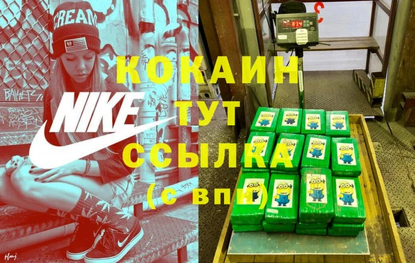 Альфа ПВП Аркадак