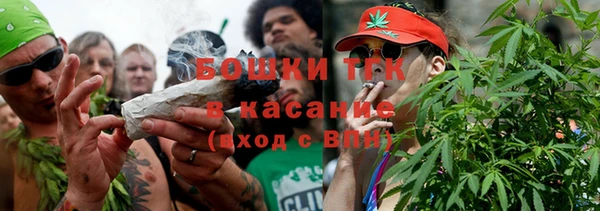 Альфа ПВП Аркадак