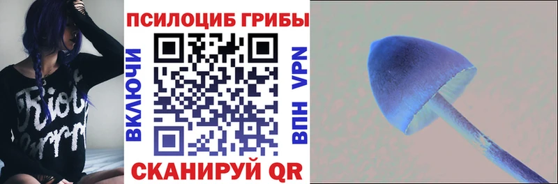 Галлюциногенные грибы прущие грибы  Бабаево 